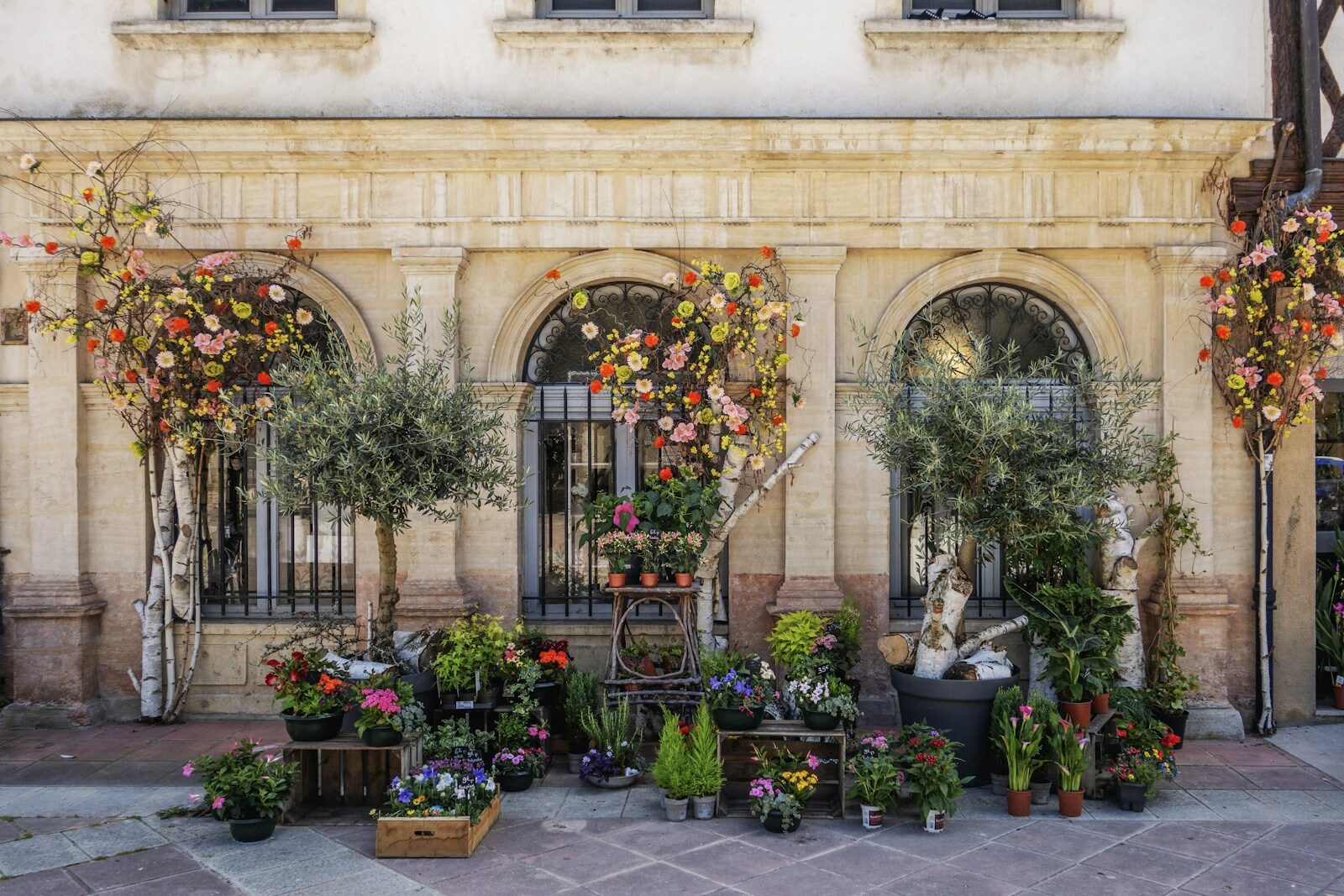 a bunch of potted plants outside of a building